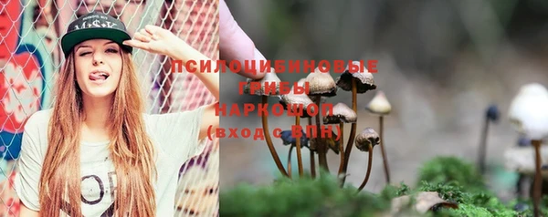 трава Инта