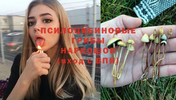 наркотики Зерноград
