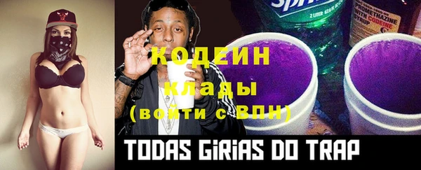 трава Инта