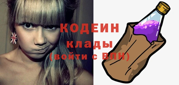 трава Инта
