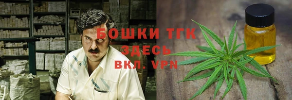 трава Инта
